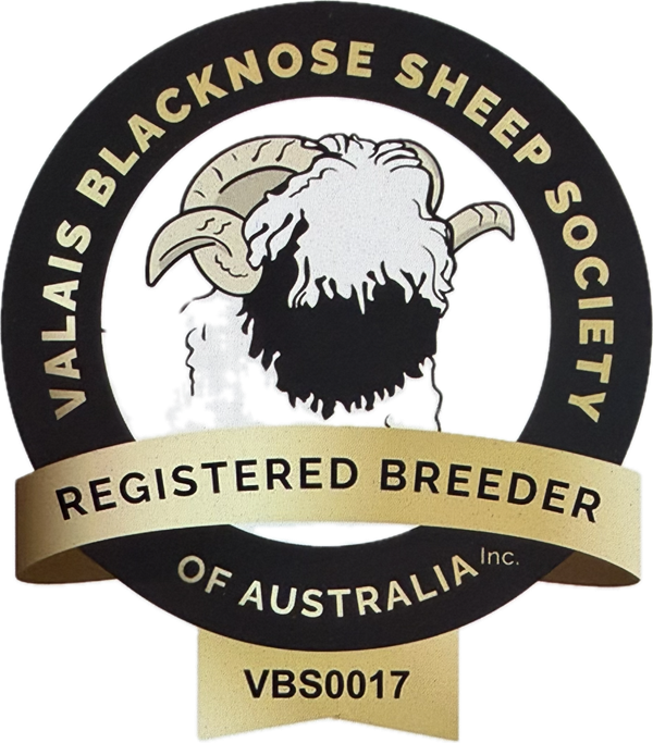 vbss certified 600